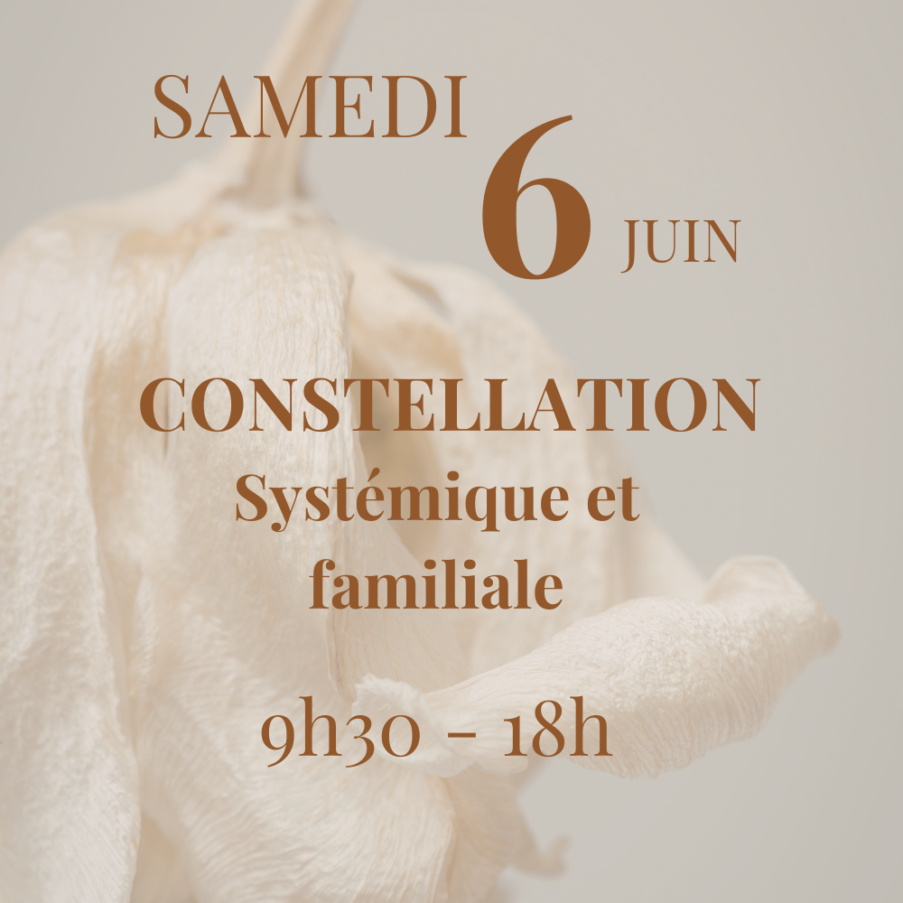 Samedi 6 juin, Journée de constellations systémiques et familiales