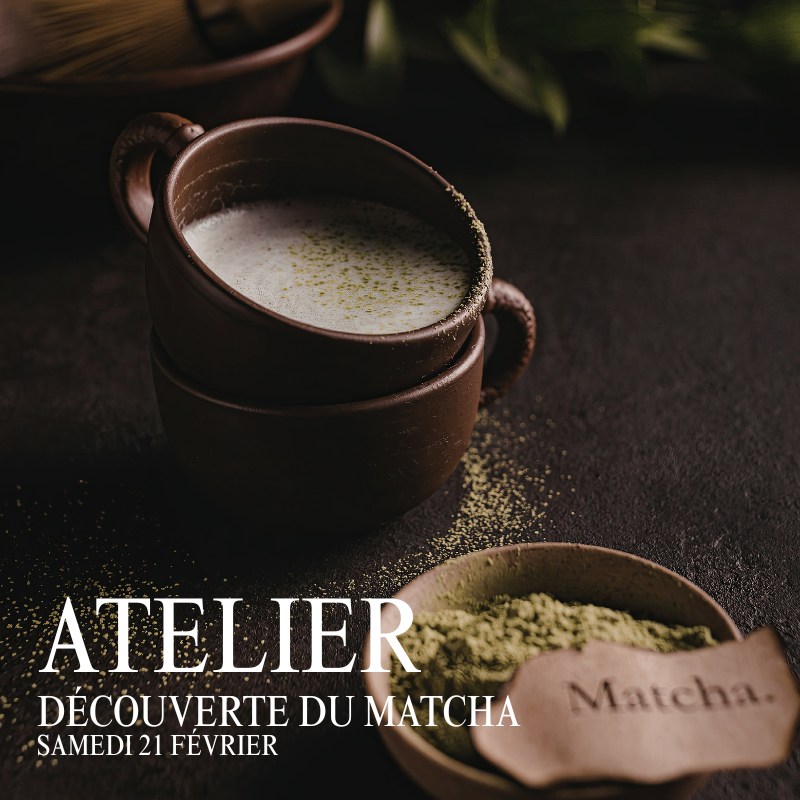 Découverte du Matcha - 21 février 2026